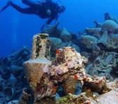 Antichi naufraghi nel Mar Ionio