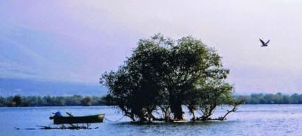 Kerkini, il lago degli uccelli…