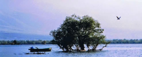 Kerkini, il lago degli uccelli…