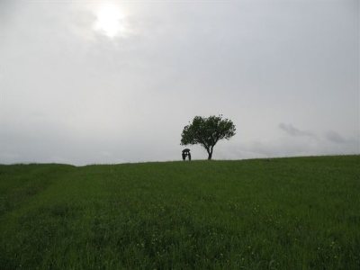 “Hail Arcadia”, un viaggio nel passato, ma anche al presente di un luogo pieno di storie e leggende.