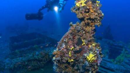“Sotto le onde: Scorci di storia”- Mostra fotografica di relitti di navi affondate