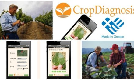 CropDiagnosis: il modo più semplice per mantenere sane le piante