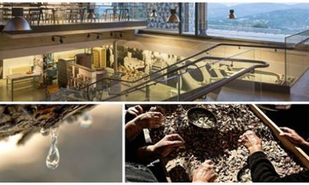 Il nuovo museo di “Mastice di Chio” svela i segreti di un prodotto unico