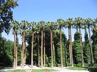 Il Giardino Nazionale di Atene: la primavera è già qui!