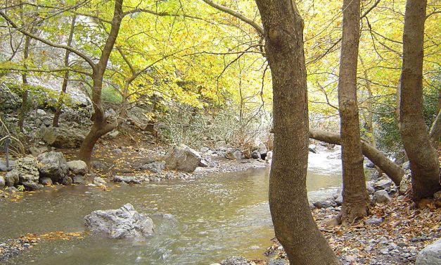 La valle di Tempe, il legame entro la Grecia del Nord e la Grecia del Sud: proposta per un parco multidisciplinare