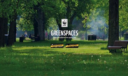 Alla ricerca di spazi verdi con l’applicazione WWF GreenSpaces