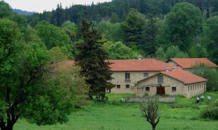 Destinazioni vicine : una scappata a Tatoi