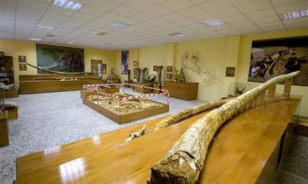 “La caccia degli elefanti a Grevena” -mostra al nuovo Museo Paleontologico di Milia, Grevena