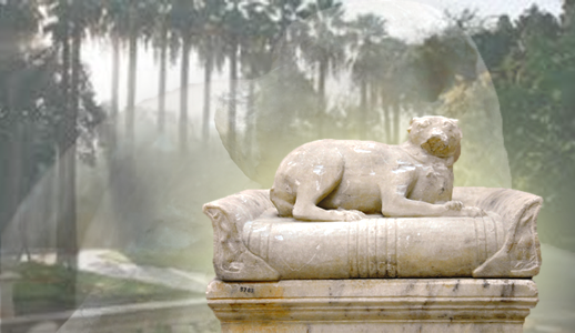 Museo Archeologico Nazionale| “il cagnolino sdraiato” si rivela al pubblico