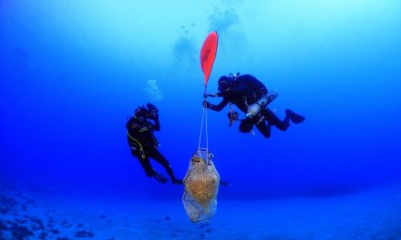 Antichi relitti di navi trovati nella zona marittima di Kassos