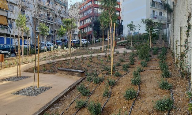 Belle cose in piccoli spazi: I giardini tascabili (pocket parks) del Comune di Atene,  parte del programma ‘’Adotta la tua città’’, di ‘’Athens partnership’’
