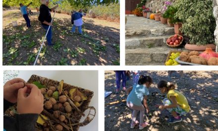 Il progetto di rinascita di Vamvakú, il villaggio montuoso del Peloponneso