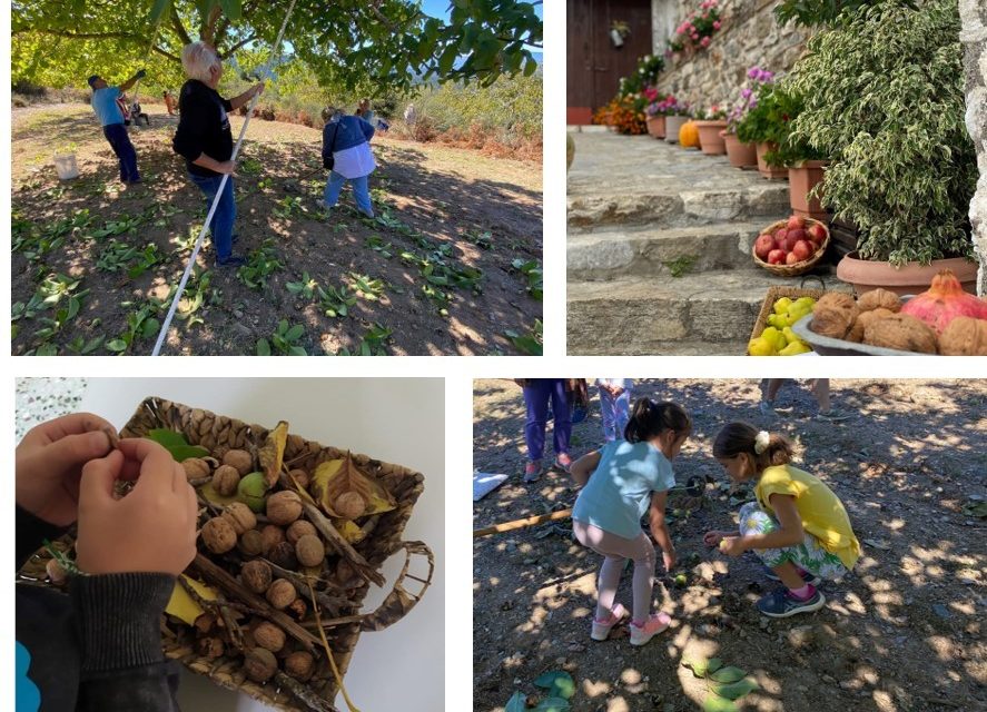 Il progetto di rinascita di Vamvakú, il villaggio montuoso del Peloponneso