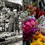 L’antica cultura greca ospitata nei rinati negozi di fiori del Parlamento Ellenico a Syntagma