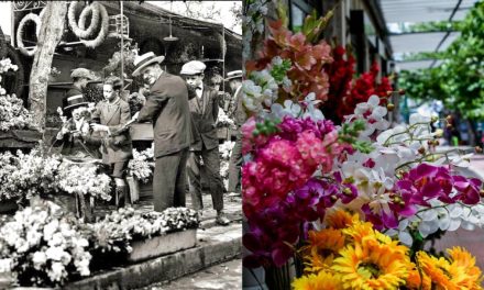 L’antica cultura greca ospitata nei rinati negozi di fiori del Parlamento Ellenico a Syntagma