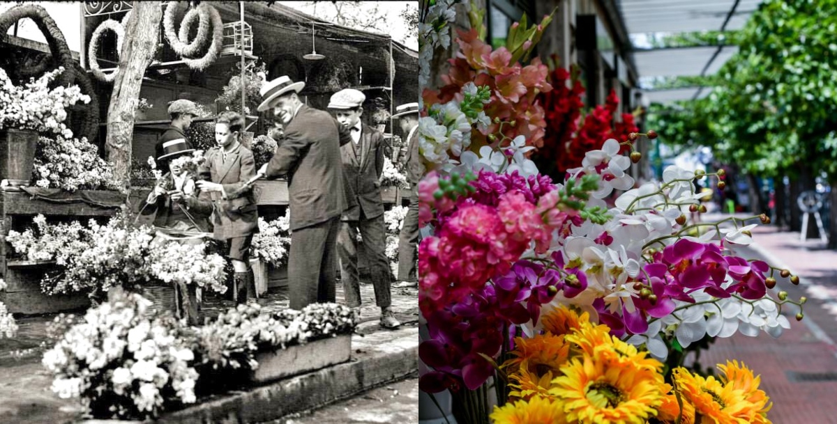 L’antica cultura greca ospitata nei rinati negozi di fiori del Parlamento Ellenico a Syntagma