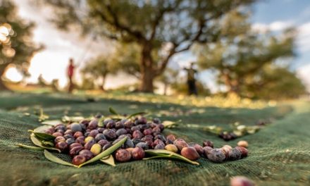 L’evoluzione e le influenze culinarie sulla cucina greca – una breve presentazione