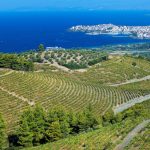 Strade del vino della Grecia settentrionale-Halkidiki